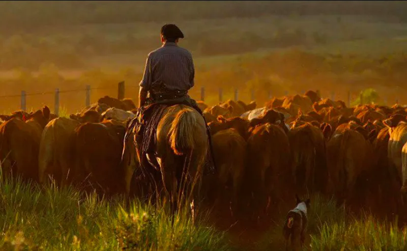 Screen Shot 2025-04-30 at 08.56.50