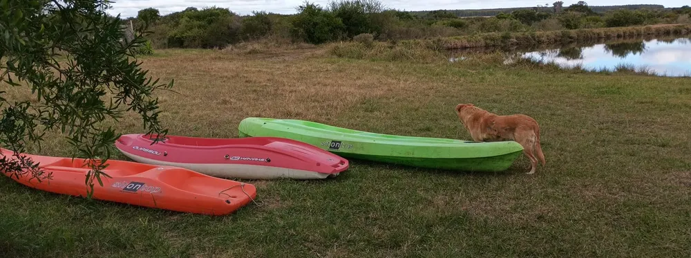 WhatsApp Image 2025-06-09 at 23.03.20