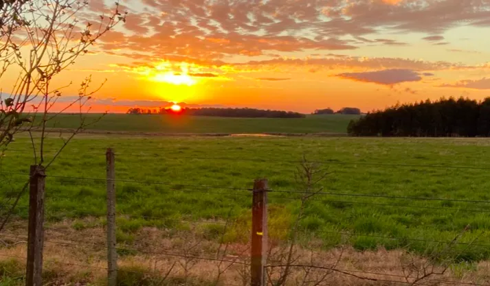 Screen Shot 2025-11-05 at 11.11.22