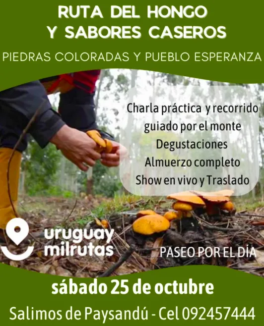 Screen Shot 2025-10-23 at 13.59.50