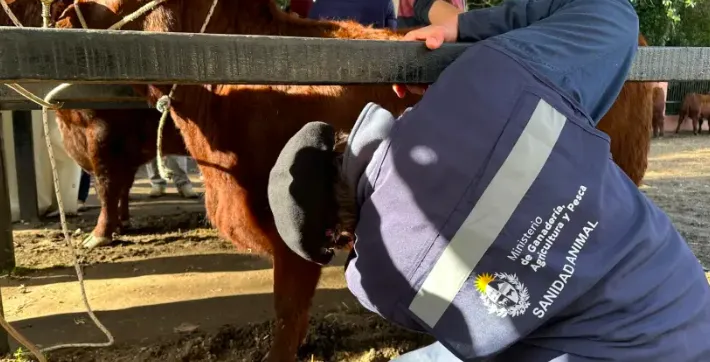 Screen Shot 2025-09-05 at 14.42.22