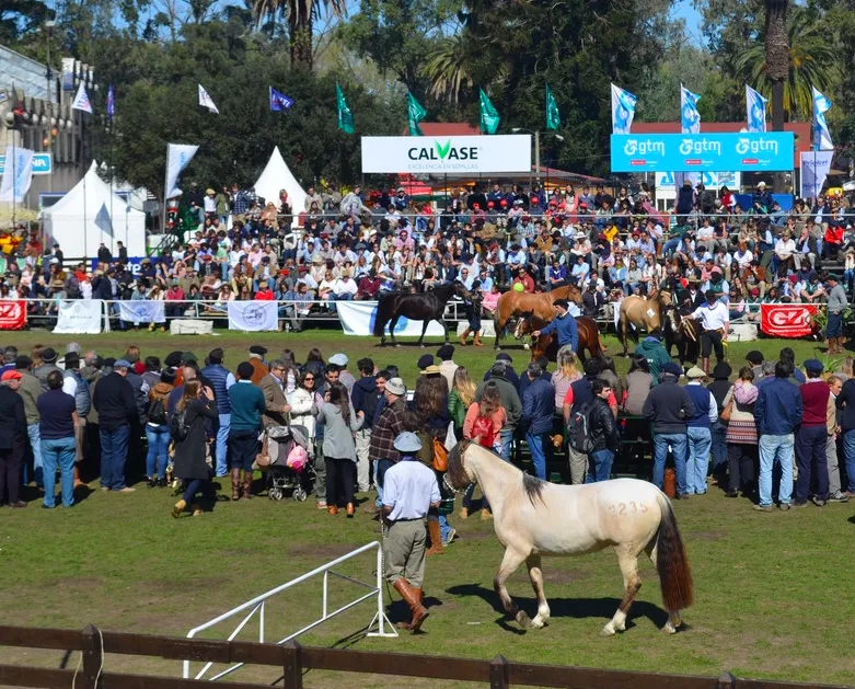 Screen Shot 2025-08-18 at 09.42.15