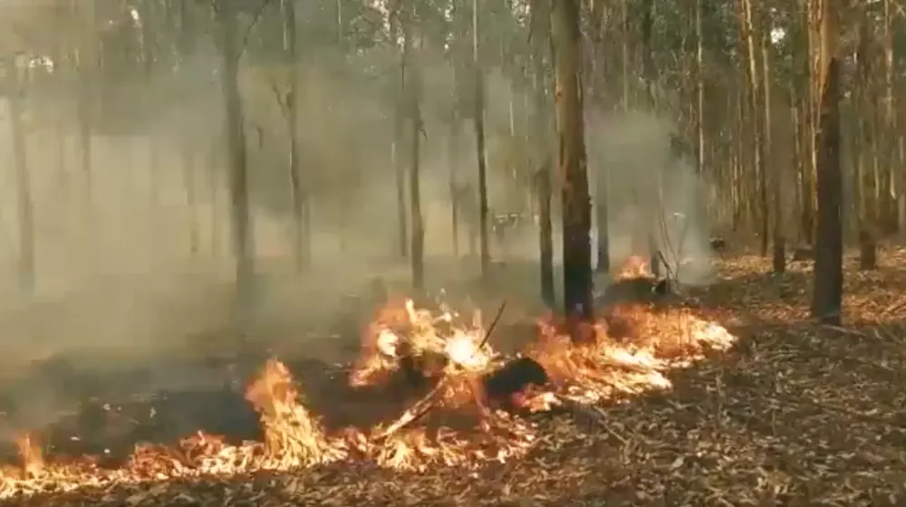 Screenshot 2023-03-18 at 00.32.48