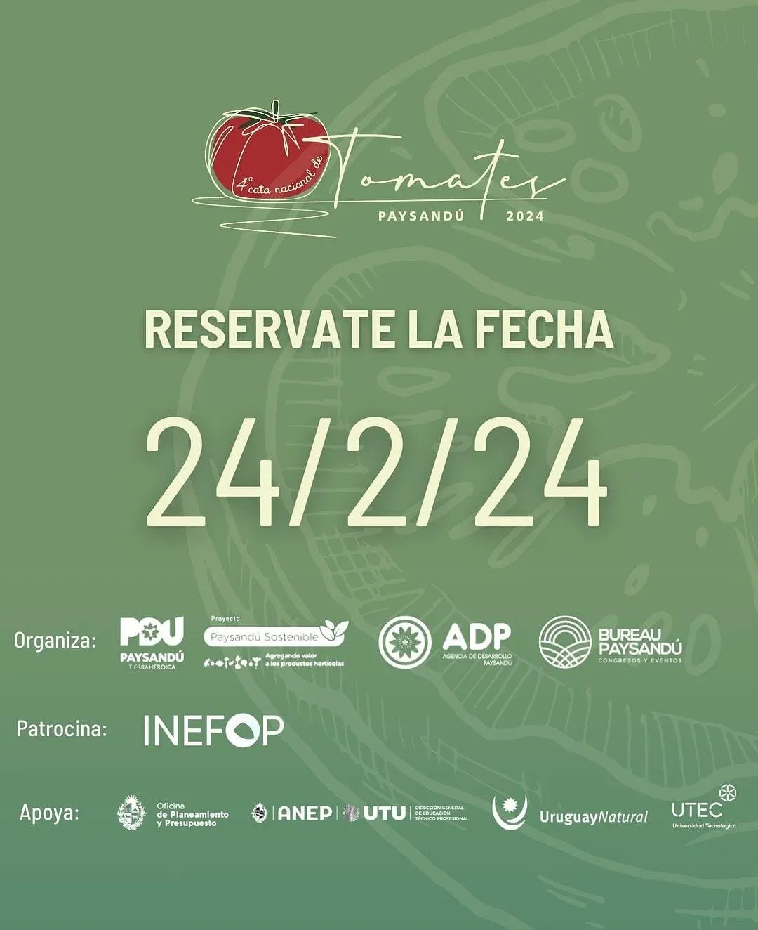 Imagen de WhatsApp 2024-02-22 a las 15.13.32_8364ec60