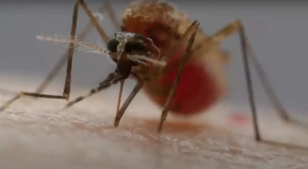 Screenshot 2024-04-09 at 22.39.44