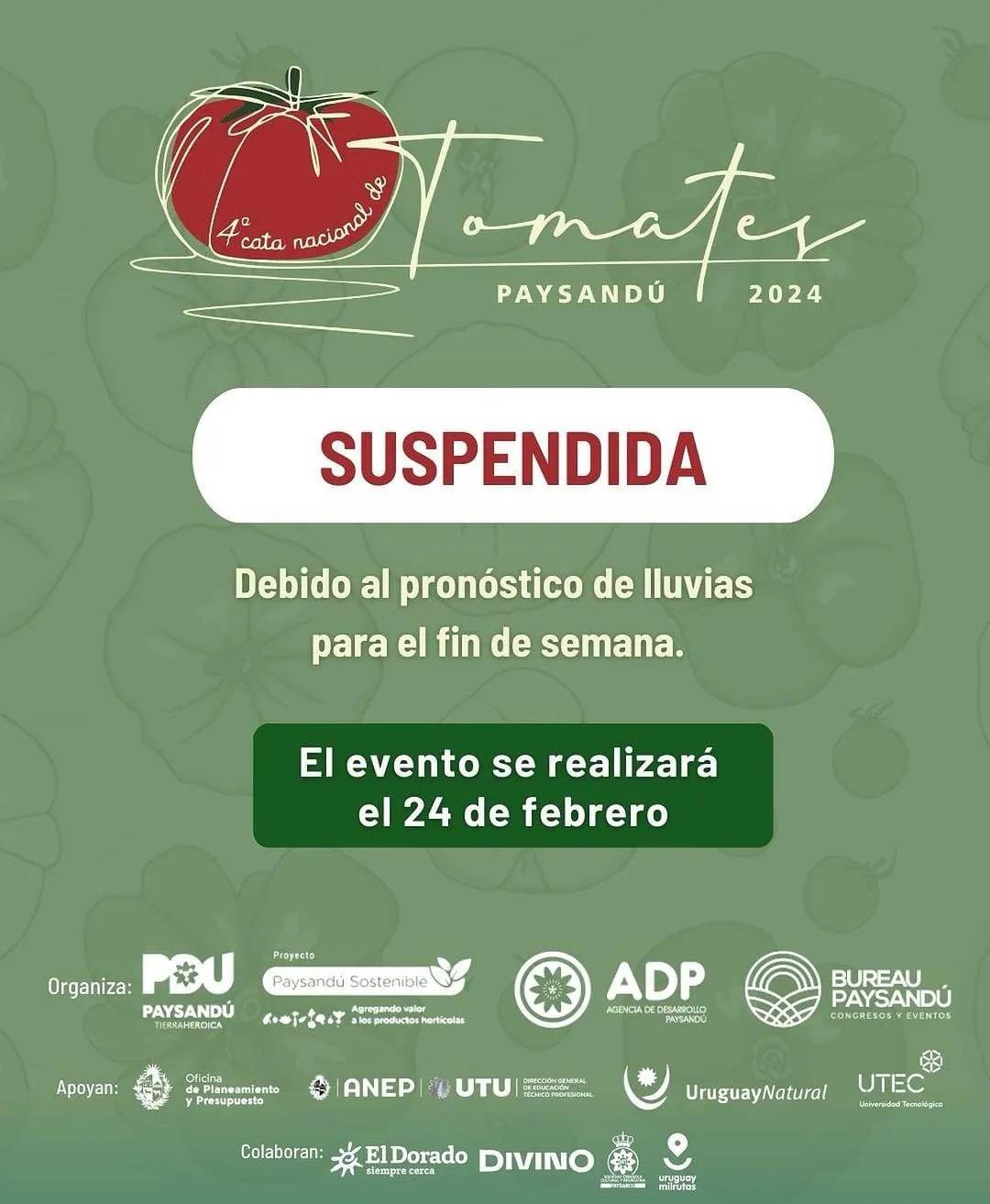 Imagen de WhatsApp 2024-02-08 a las 16.16.00_ea4f10bc