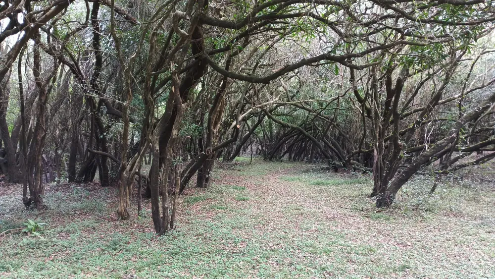 WhatsApp Image 2025-06-09 at 21.43.54