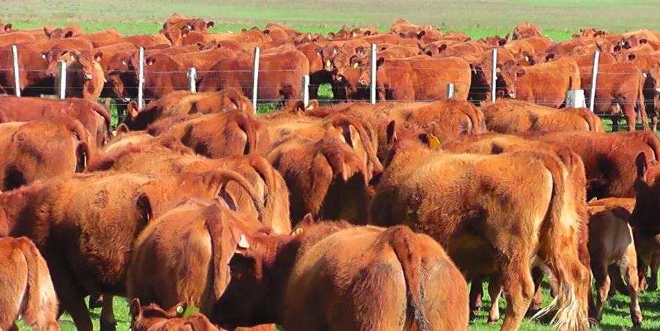 Screen Shot 2025-05-20 at 09.21.22