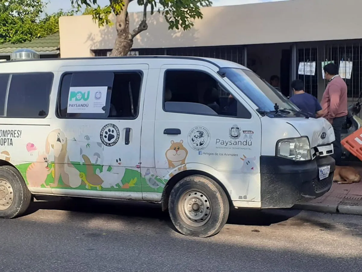 338578753_1279453449651747_4147260757646061629_n