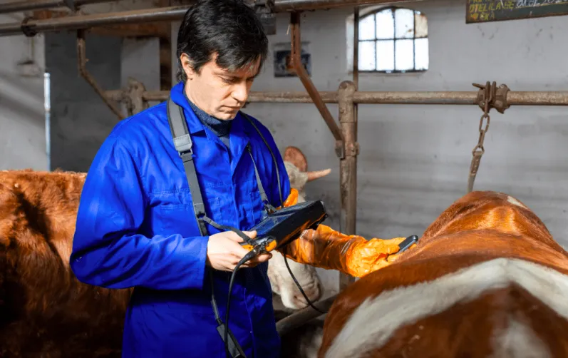 Screen Shot 2025-06-25 at 09.07.12