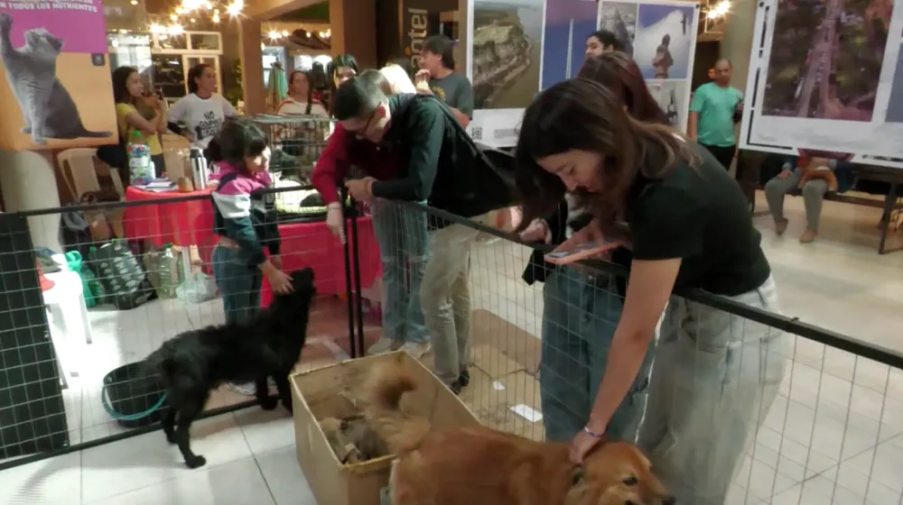 Screenshot 2024-04-08 at 23.55.57