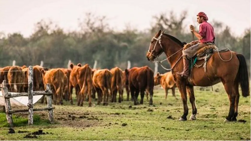 Screen Shot 2025-04-30 at 08.52.08