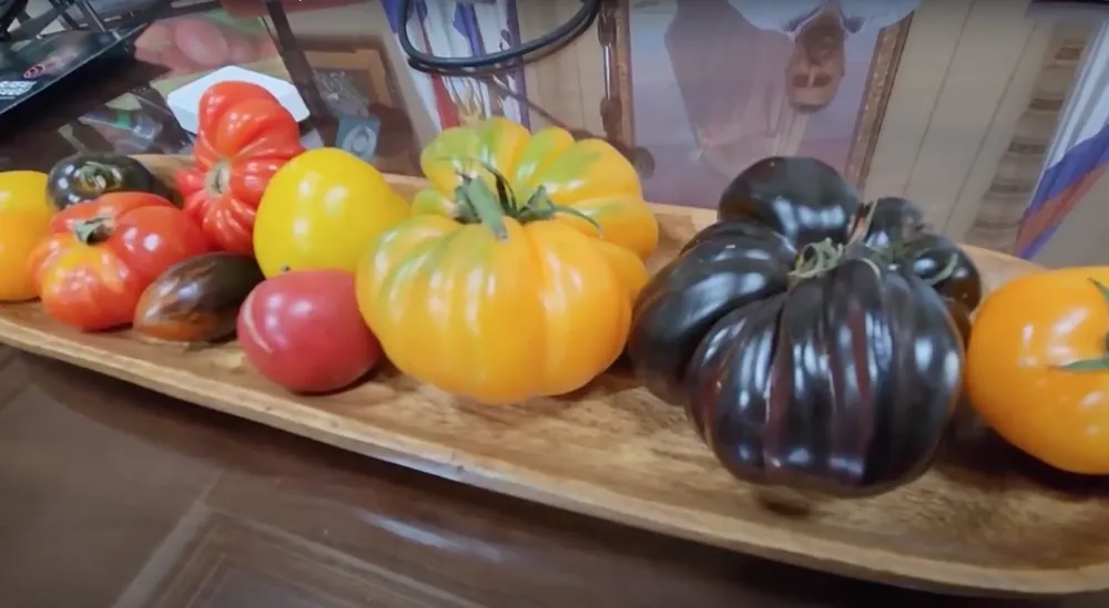 Screenshot 2024-01-16 at 22.44.27