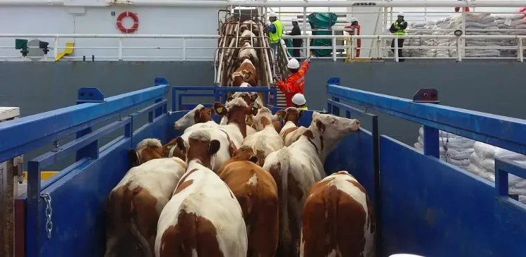 Screen Shot 2025-07-15 at 10.28.14