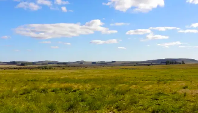 Screen Shot 2025-11-05 at 11.10.48