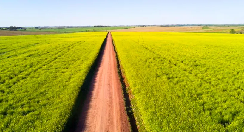 Screen Shot 2025-06-18 at 09.01.03