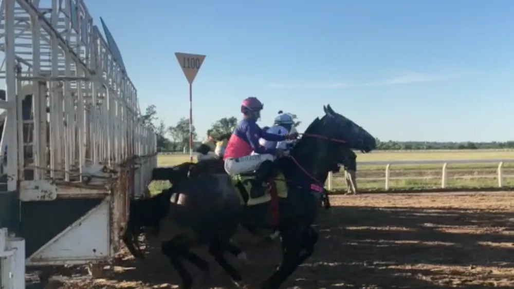 Screenshot 2023-11-28 at 21.42.54