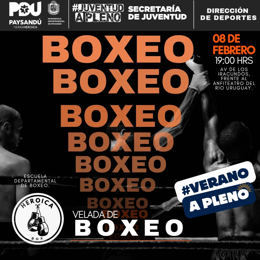 Imagen de WhatsApp 2024-02-08 a las 16.13.46_b1ec313c