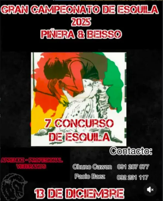 Screen Shot 2025-12-11 at 14.06.45