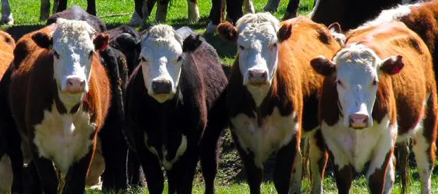 Screen Shot 2025-04-25 at 14.57.20