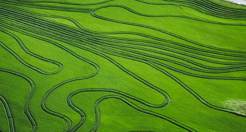 Screen Shot 2025-06-20 at 09.48.16