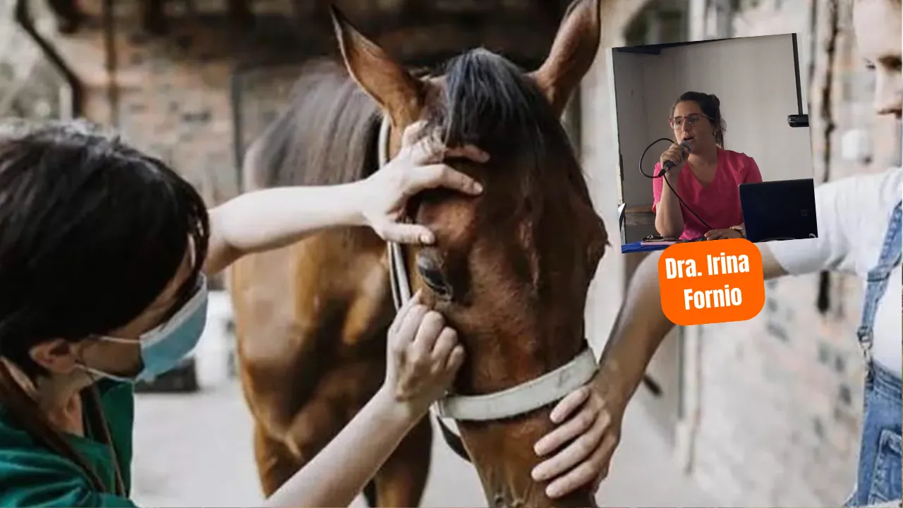 SDA CAPAS Y FOTOS CONTENIDOS TEMÁTICOS (32)