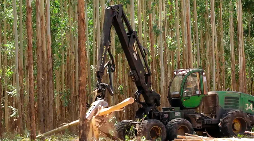 Screen Shot 2025-07-23 at 09.33.05