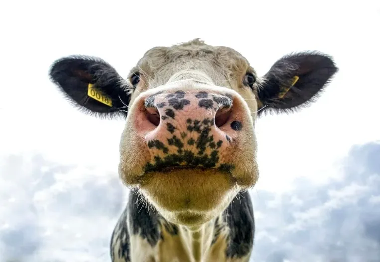 Screen Shot 2025-11-21 at 09.30.00