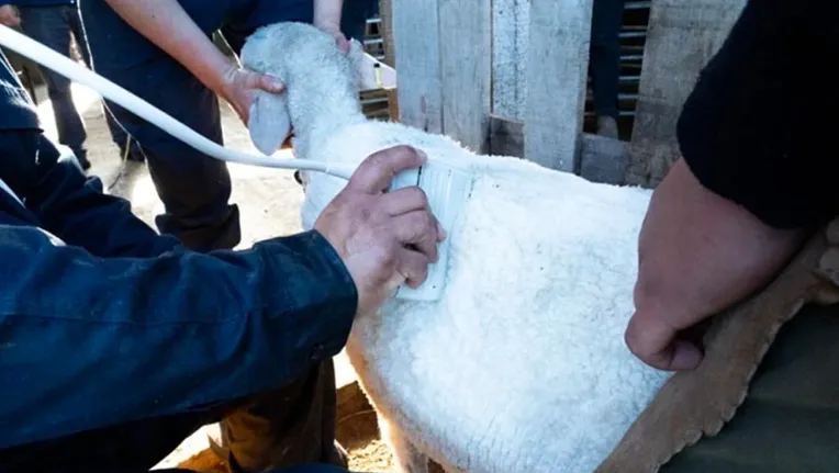 Screen Shot 2025-09-03 at 10.44.59