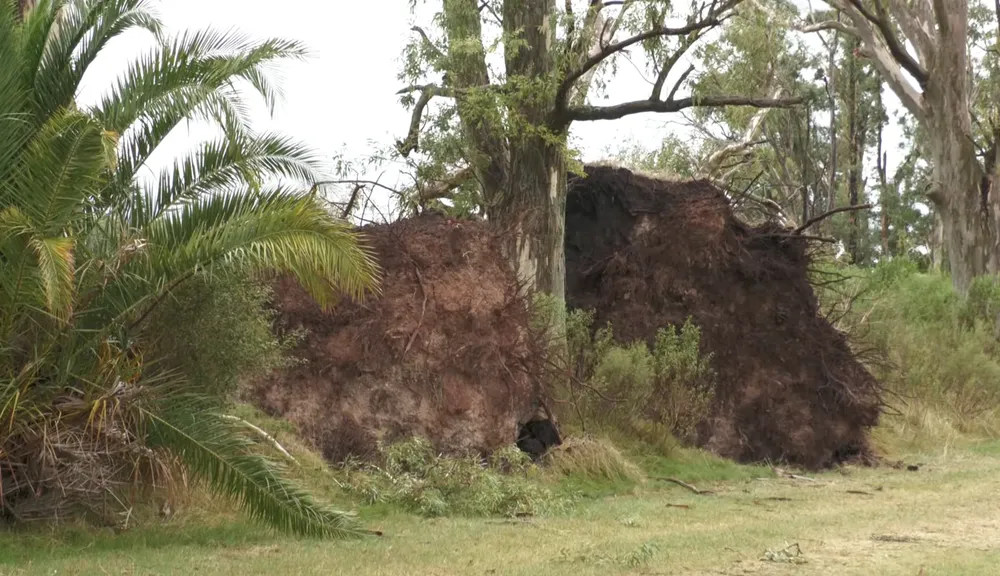 Captura de pantalla 2026-02-17 a la(s) 09.50.12