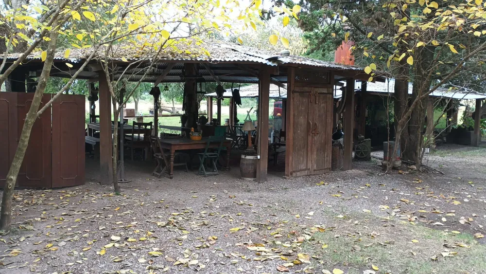 WhatsApp Image 2025-06-09 at 23.16.28