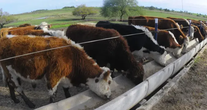 Screen Shot 2025-07-16 at 14.51.33