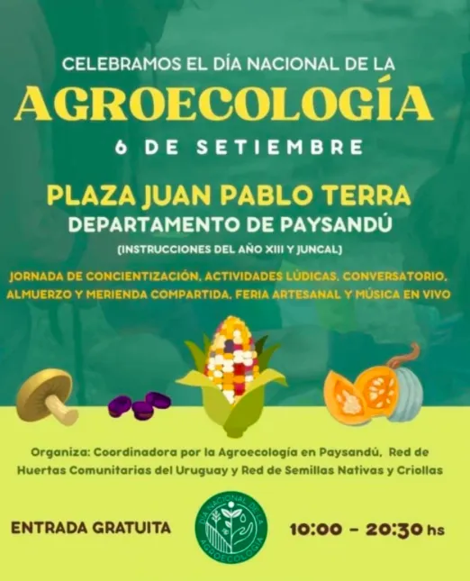 Screen Shot 2025-09-04 at 12.10.09