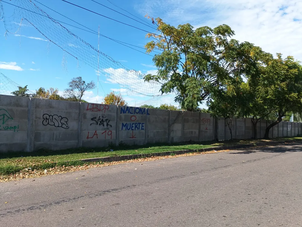 WhatsApp Image 2025-04-28 at 11.19.34