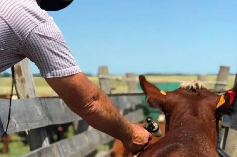 Screen Shot 2025-06-13 at 09.59.43