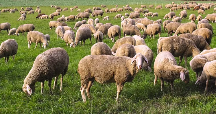 Screen Shot 2025-08-05 at 13.42.35