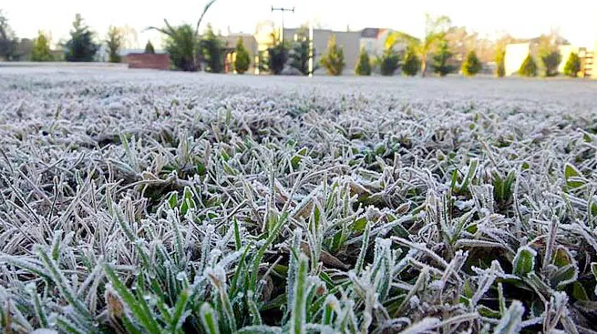 Screen Shot 2025-07-02 at 10.13.07