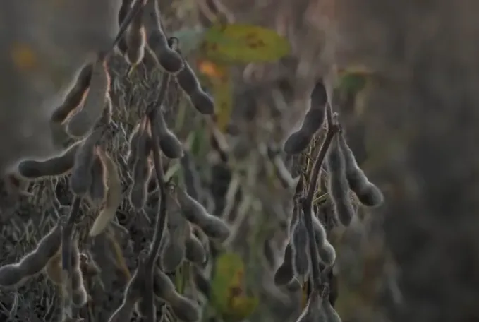 Screen Shot 2025-09-29 at 09.21.10