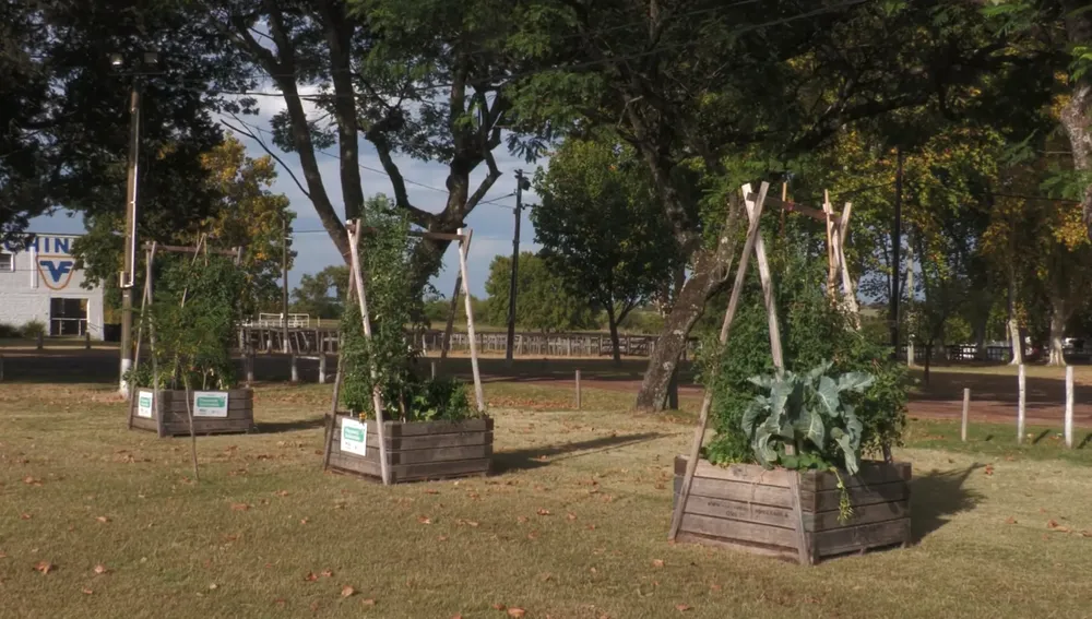 Captura de pantalla 2026-02-07 a la(s) 13.47.19