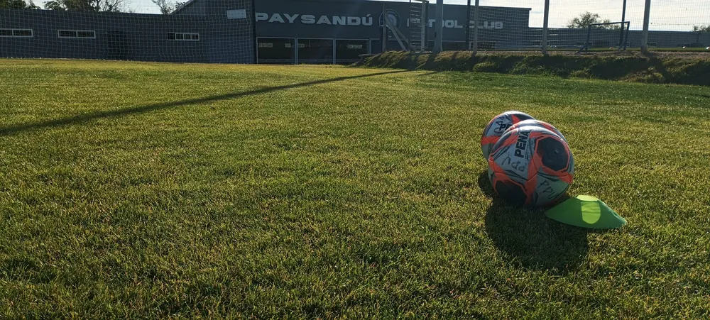 WhatsApp Image 2025-07-29 at 22.51.53